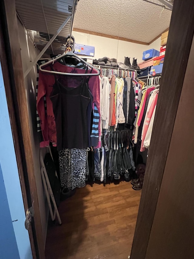 walk in closet featuring wood finished floors