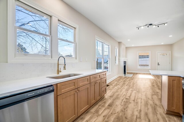 kitchen with light wood-style flooring, a fireplace, a sink, light countertops, and stainless steel dishwasher