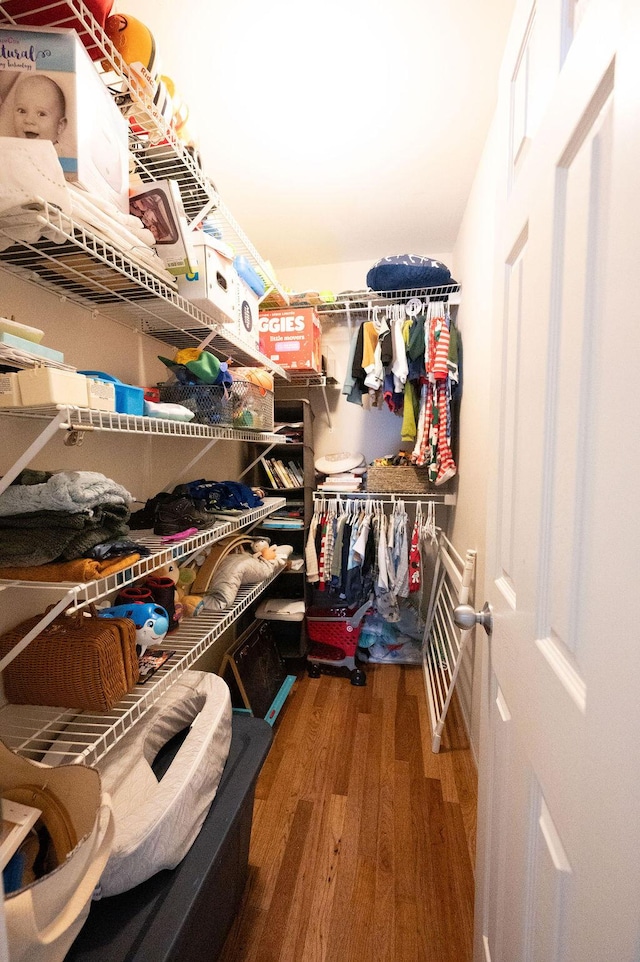 walk in closet featuring wood finished floors