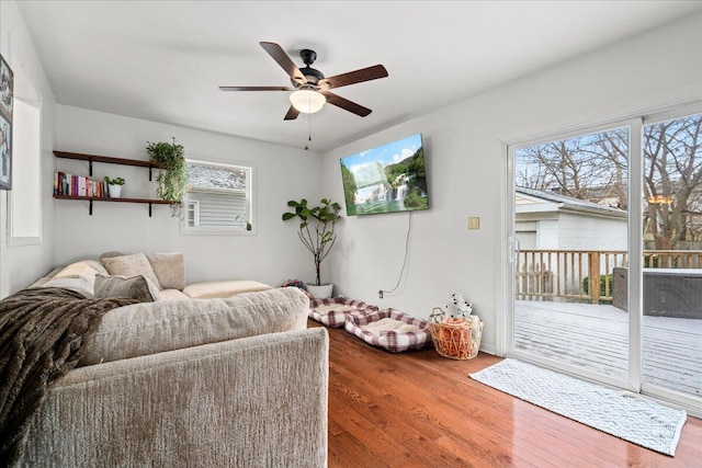 living room with a ceiling fan, plenty of natural light, and wood finished floors