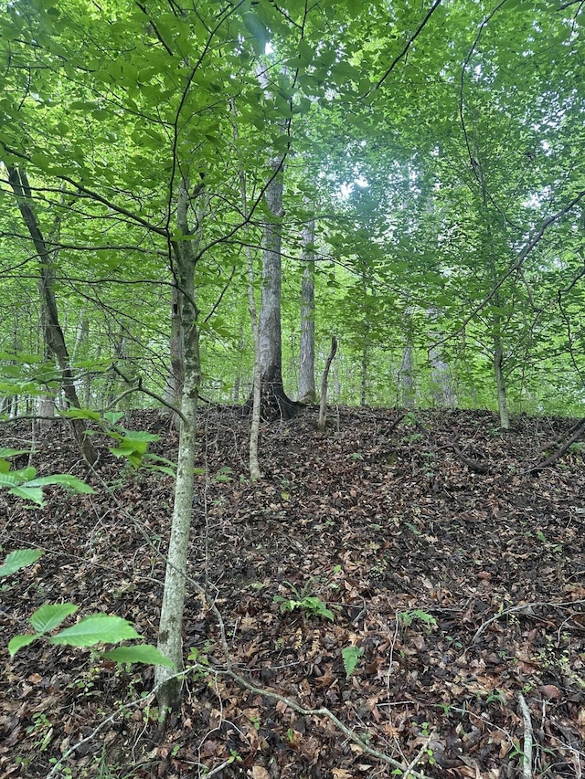 view of nature featuring a view of trees