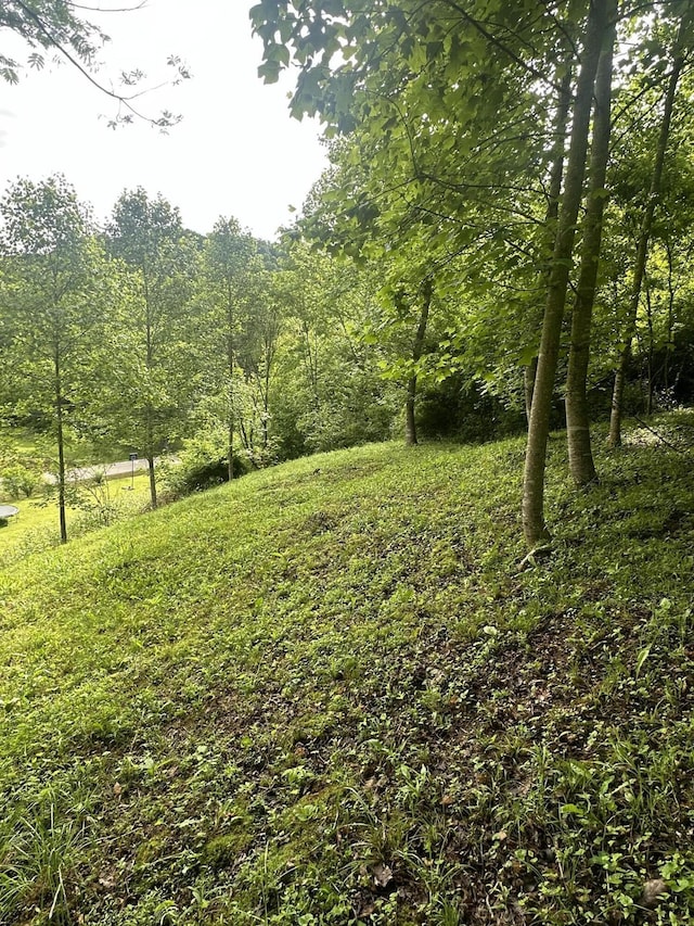 view of yard with a wooded view