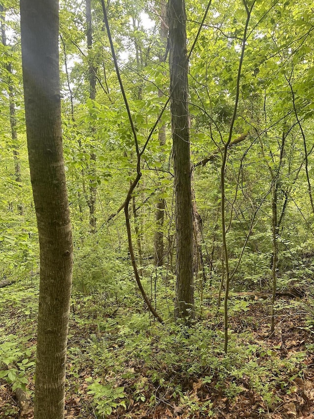 view of local wilderness with a forest view