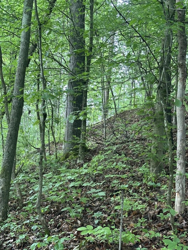 view of nature featuring a wooded view