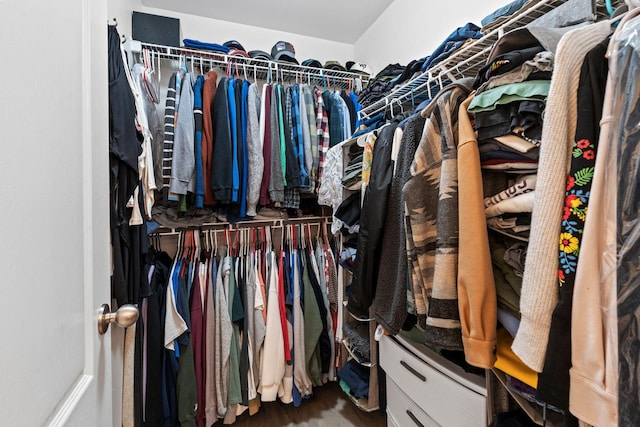 spacious closet with wood finished floors