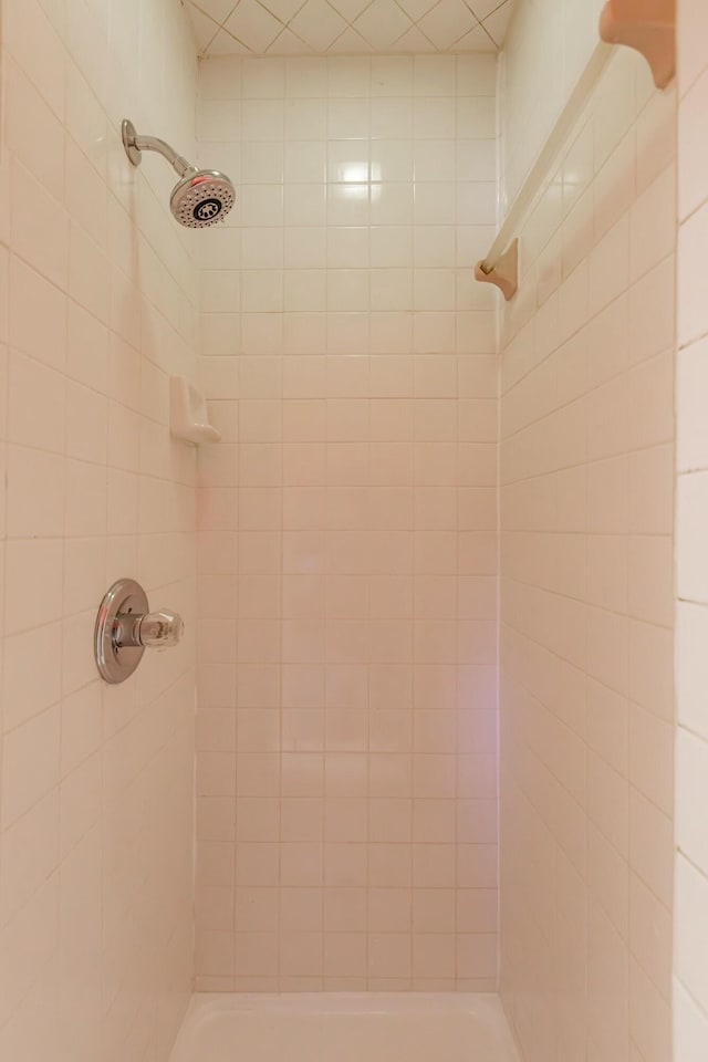 full bathroom featuring a tile shower