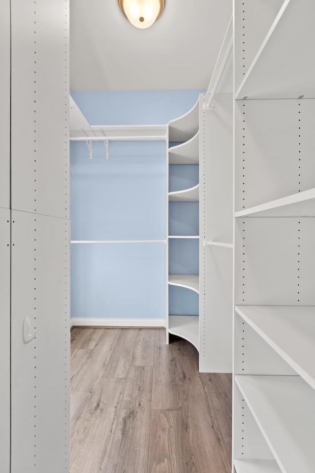 walk in closet featuring wood finished floors