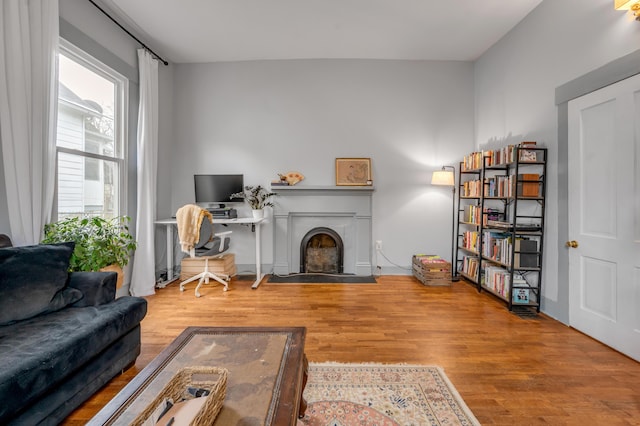 living area featuring a fireplace and wood finished floors