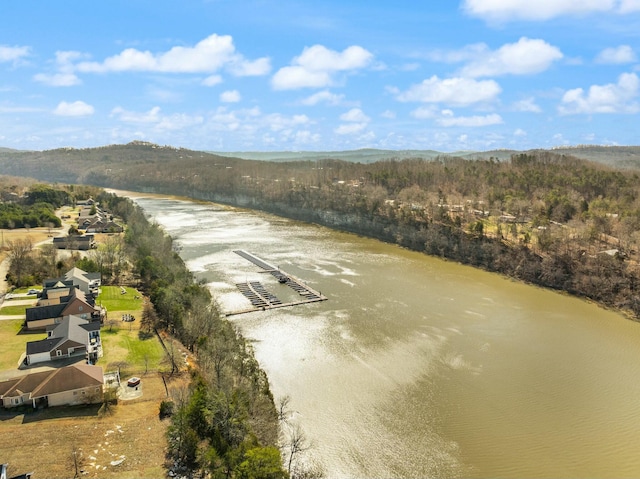 drone / aerial view featuring a mountain view