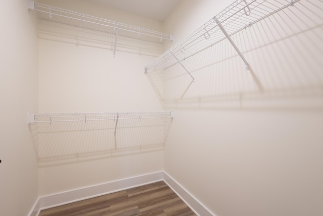 walk in closet with wood finished floors