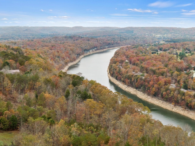 birds eye view of property featuring a water view and a wooded view