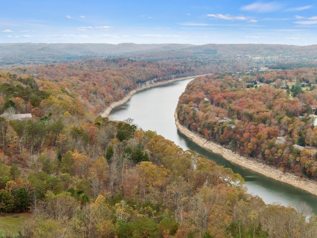 birds eye view of property with a view of trees and a water view