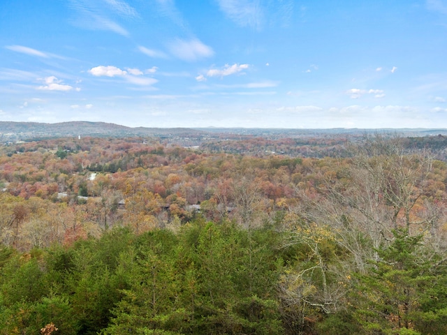 bird's eye view featuring a mountain view and a wooded view