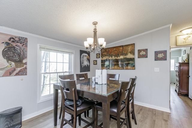 dining room with crown molding, a textured ceiling, and light wood finished floors