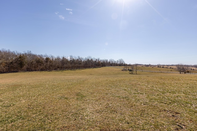 view of yard with a rural view