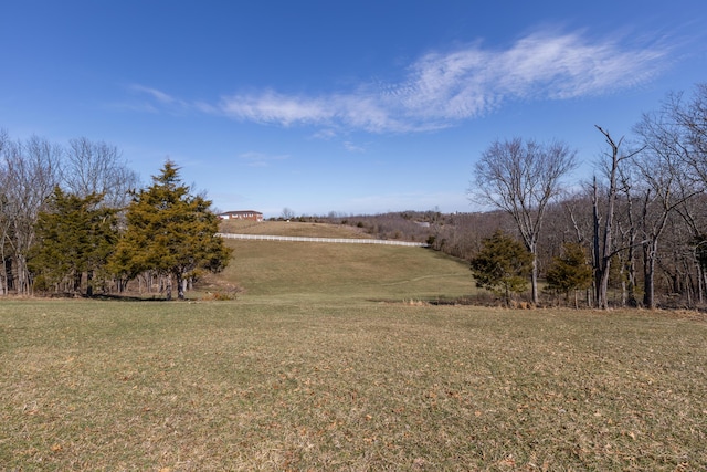 view of yard with a rural view