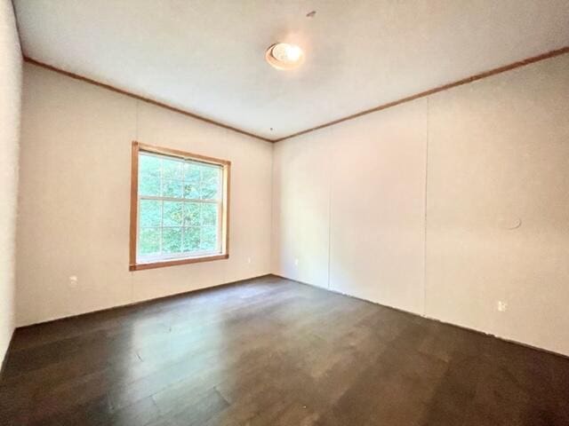 unfurnished room featuring crown molding and wood finished floors