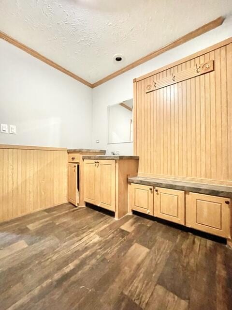 interior space featuring a textured ceiling, light brown cabinetry, dark wood-type flooring, and ornamental molding