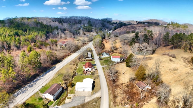 aerial view with a mountain view and a wooded view