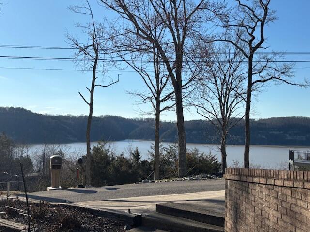 view of water feature with a view of trees