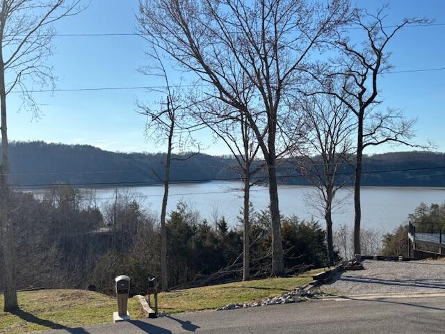 water view with a view of trees