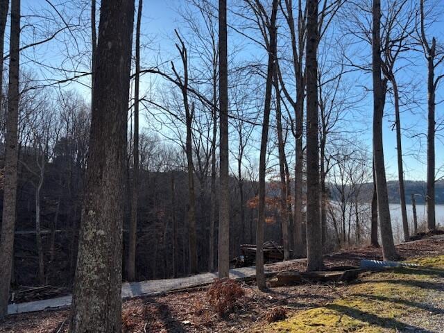 water view with a wooded view