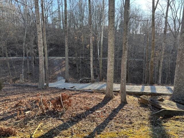 view of landscape with a view of trees