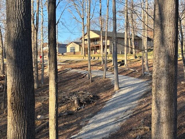 view of yard featuring dirt driveway