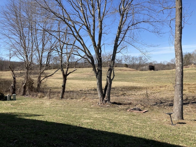 view of yard with a rural view