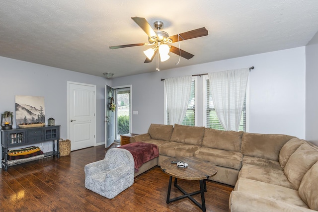 living room featuring ceiling fan, a textured ceiling, and wood finished floors