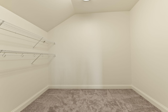 spacious closet featuring lofted ceiling and carpet floors