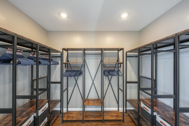 spacious closet featuring wood finished floors