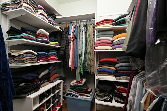 view of spacious closet