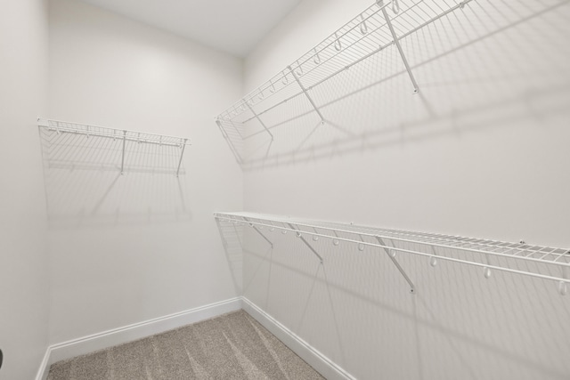 spacious closet featuring light colored carpet