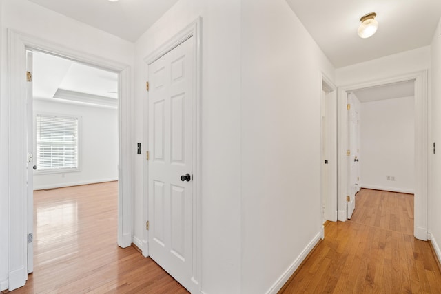 hallway featuring a raised ceiling, baseboards, and light wood-type flooring