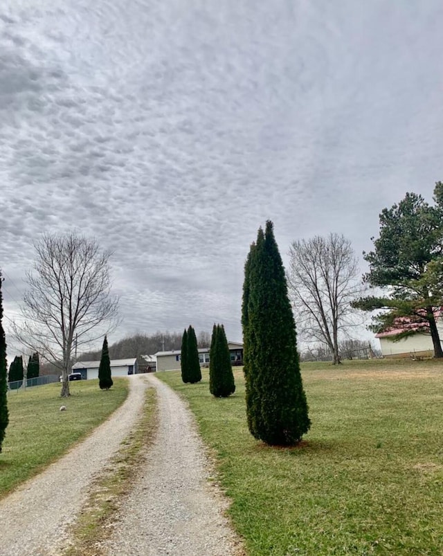 view of street with driveway