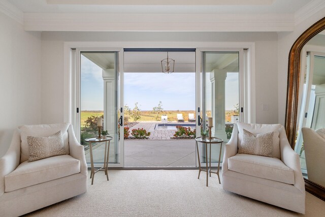 living area featuring carpet