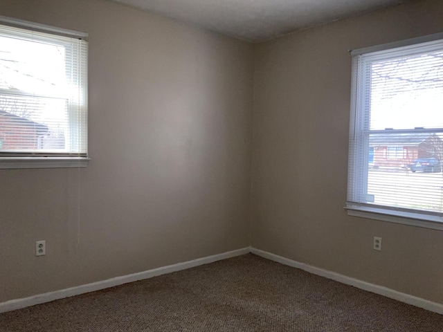 spare room with carpet, baseboards, and a wealth of natural light