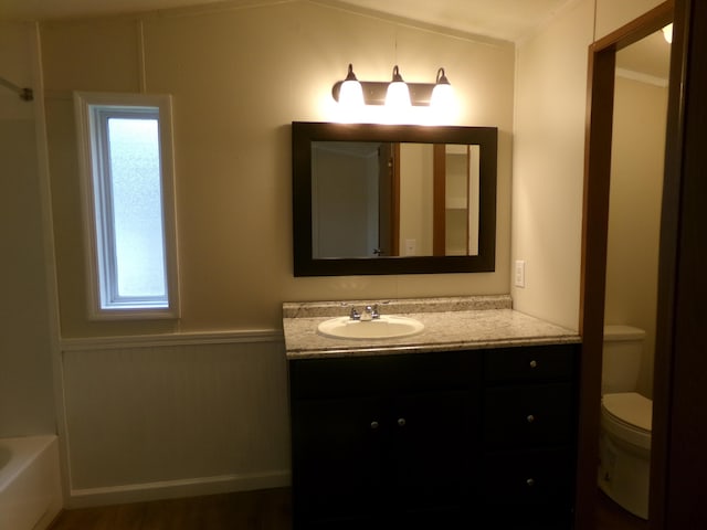 full bath featuring vanity, toilet, and a bath