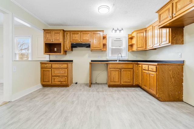 kitchen with a healthy amount of sunlight, under cabinet range hood, ornamental molding, and a sink