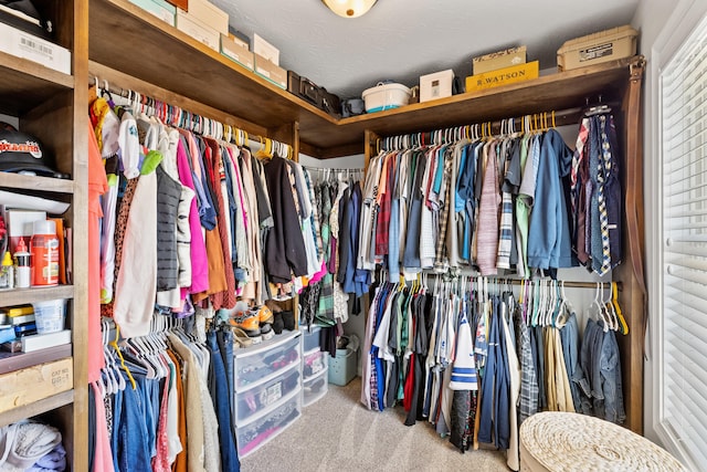 spacious closet featuring carpet flooring