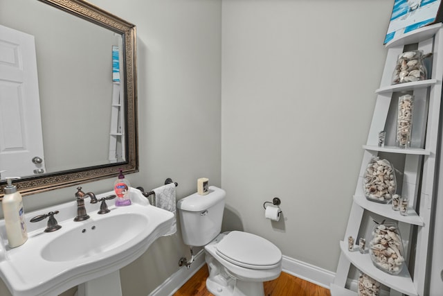 767 Flint Ridge Rd, Versailles, KY 40383 - bathroom featuring wood finished floors, baseboards, a sink, and toilet