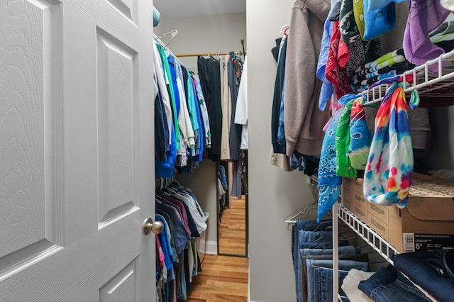 walk in closet featuring wood finished floors