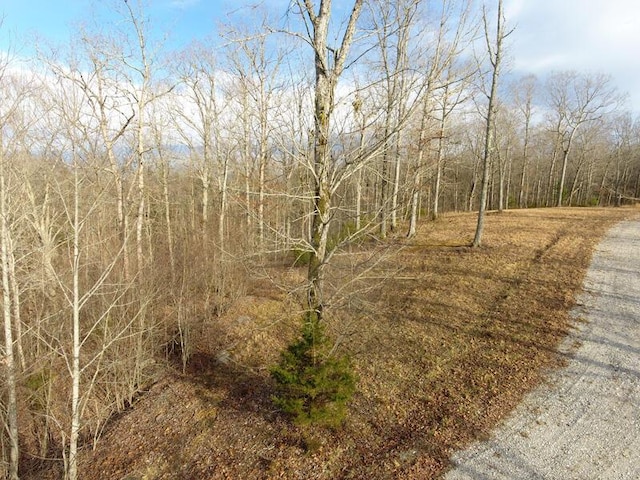 Listing photo 3 for LOT89 Cumberland Shrs, Monticello KY 42633