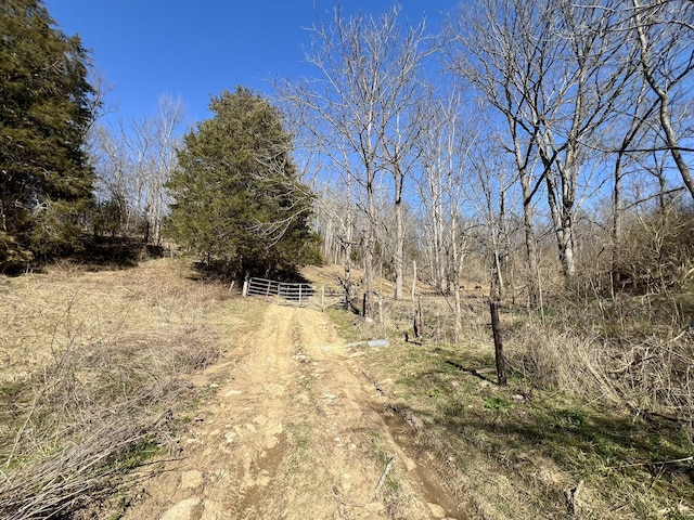 view of road featuring a gated entry