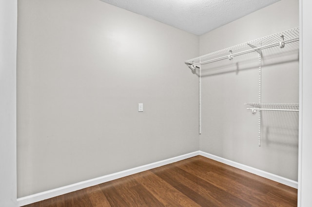 spacious closet featuring dark wood-style flooring