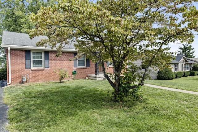 view of front facade with a front lawn, brick siding, and roof with shingles