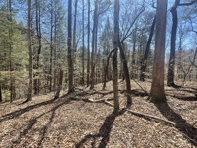 191 Stillwater, Russell Springs, KY 42642