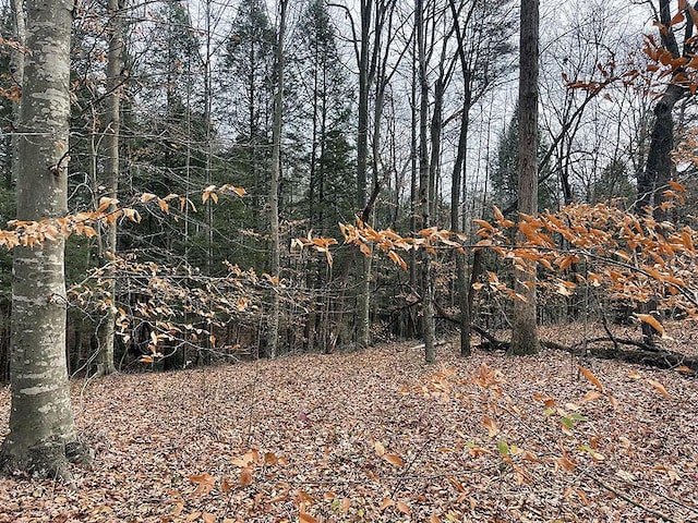 191 Stillwater, Russell Springs, KY 42642