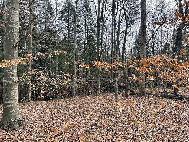 191 Stillwater, Russell Springs, KY 42642